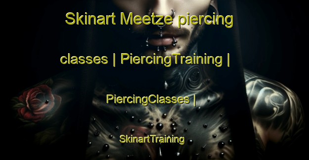 Skinart Meetze piercing classes | PiercingTraining | PiercingClasses | SkinartTraining-United States